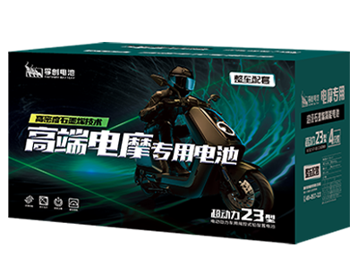 孚創高端電摩專用電池